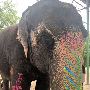 2019_India